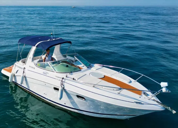 Four Winns Vista 268 - 7 pax - Boat with captain in Puerto Banús Marbella.