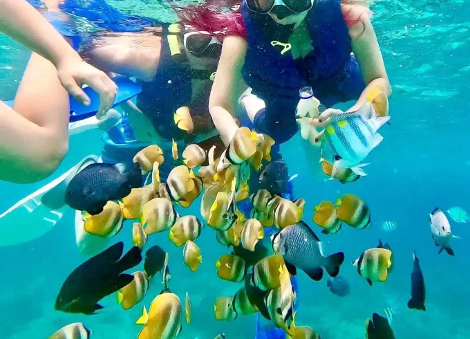 Beautiful Snorkeling Trips at Famous Spots East Bali - English Speaking Guide