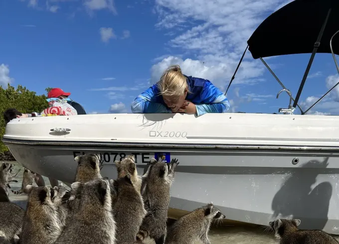 Miami Raccoon Island Wildlife Boat Tour with Captain on 22' Bayliner Deck Boat