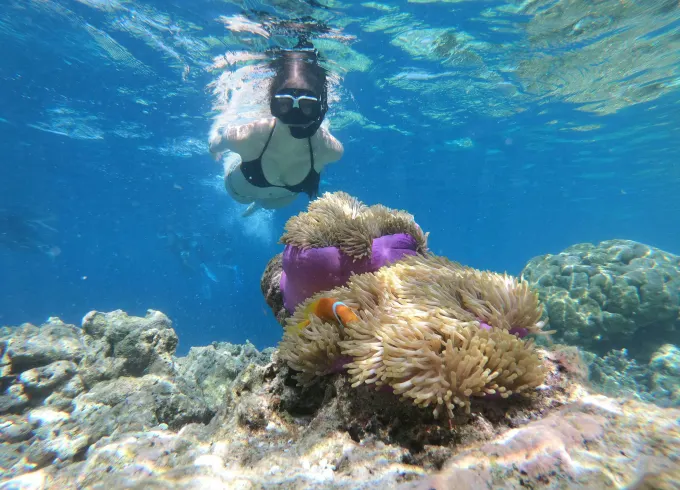 Private Snorkeling Adventure: 68ft Yacht Experience in Cabo