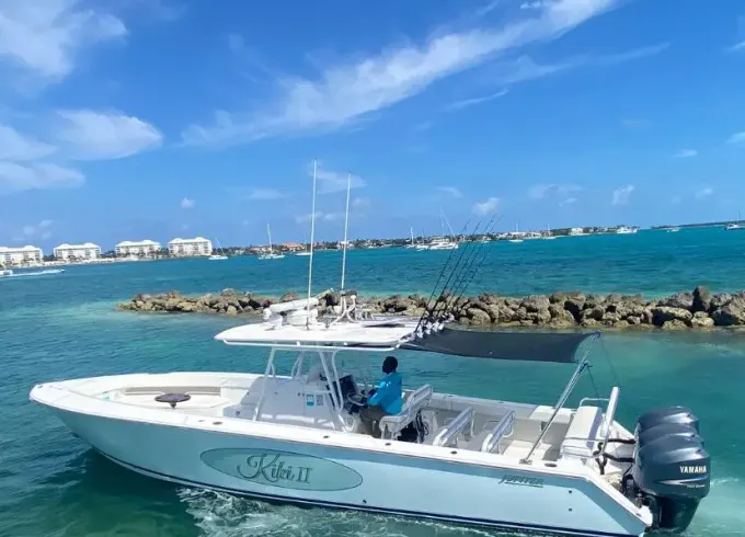 Rose Island tours; 1/2day turtles, pigs, snorkel beach time, full day w/fishing