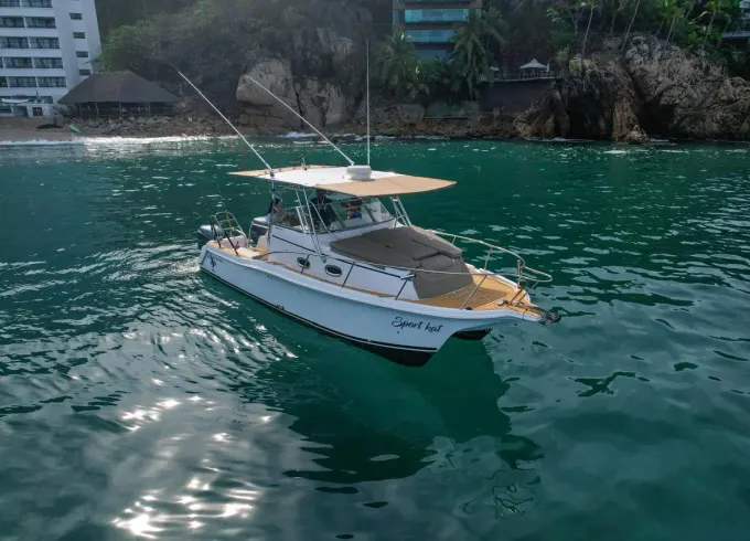 29ft Kat 2006 Fishing Boat Rental in Puerto Vallarta