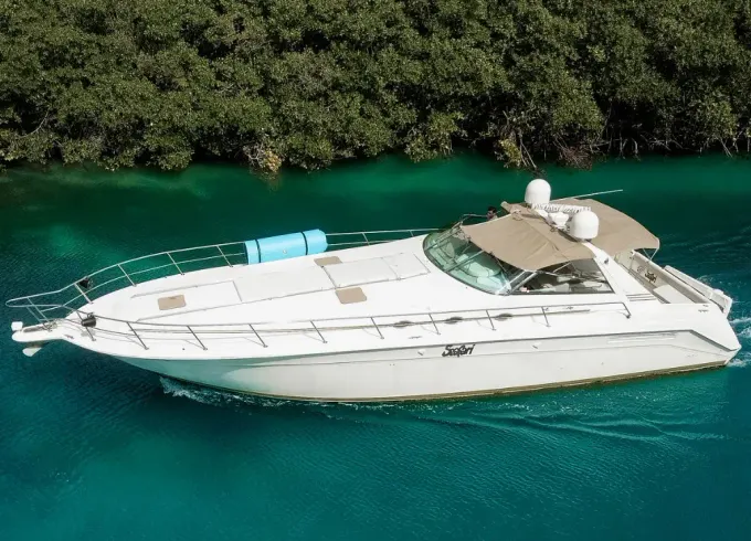 50ft Sea Ray Motor Yahct in Cancun