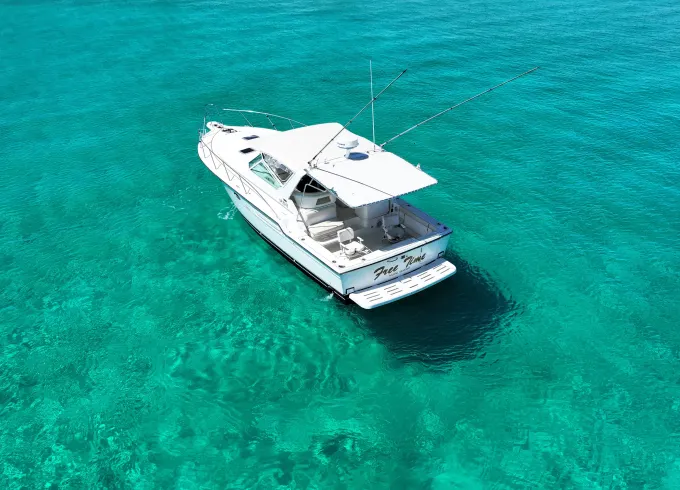 38' Tiara Motor Yacht Fishing / Snorkel in Nassau