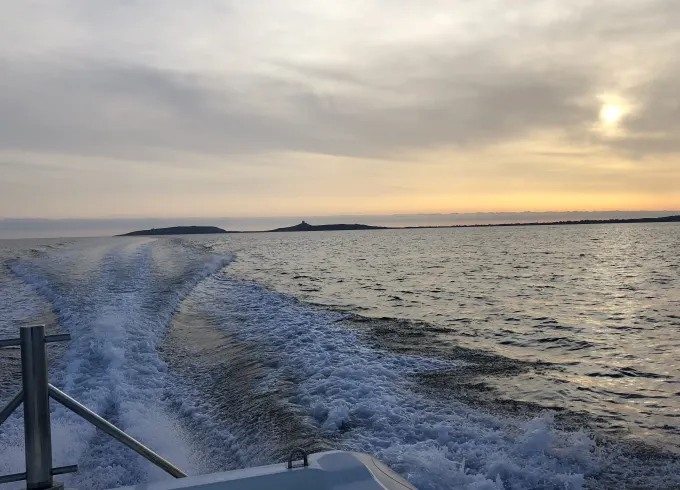 Book the 32' Cab Dorado RIB in Torregrande Porticciolo, Italy