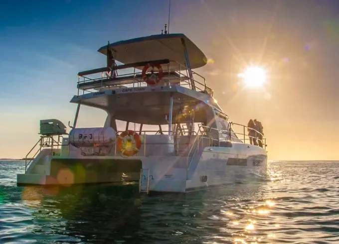 Luxury Catamaran for Private Charter in Cape Town, South Africa
