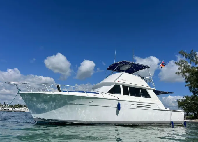 Explore Boca Chica by Boat | Private Yacht Experience