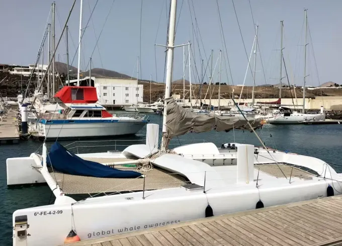 100% Electric Whale Watching Catamaran (private experience)