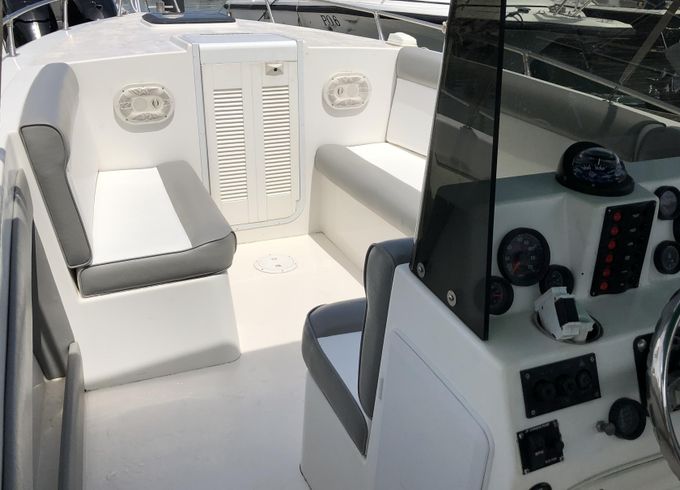Full Day Private Speedboat Charter for Up to 10 People Saint Lucia