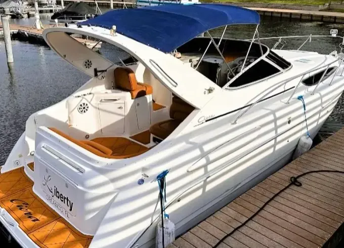 34' Bayliner Day Motor Yacht for 12 person