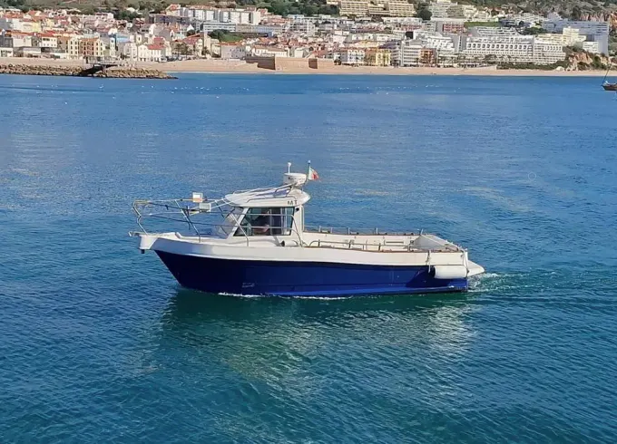 Sesimbra Boat Tour: Explore the Arrábida Coast!