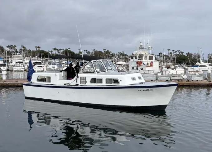 Captained 33' Wilard Yacht For San Diego Coastal Wildlife & Historic Boat Tour