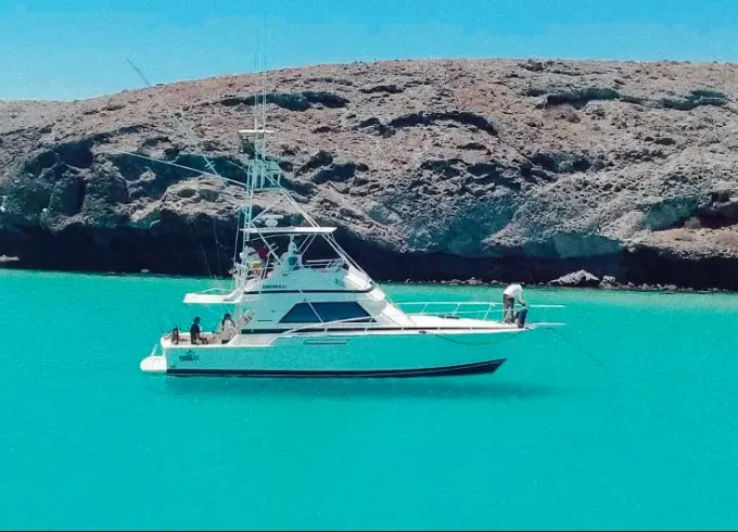 Bertram Sport 50- Fishing and Cruising to the next level