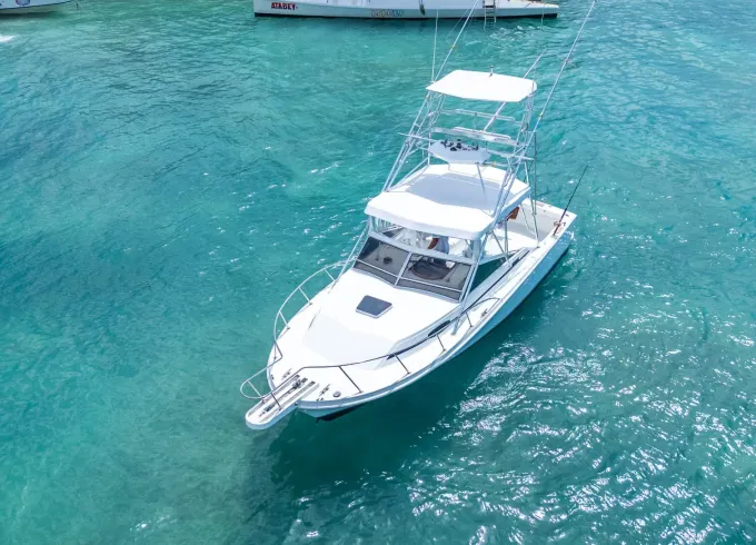 31’ Blackfin Private Yacht Charter – Full Day to Saona Island