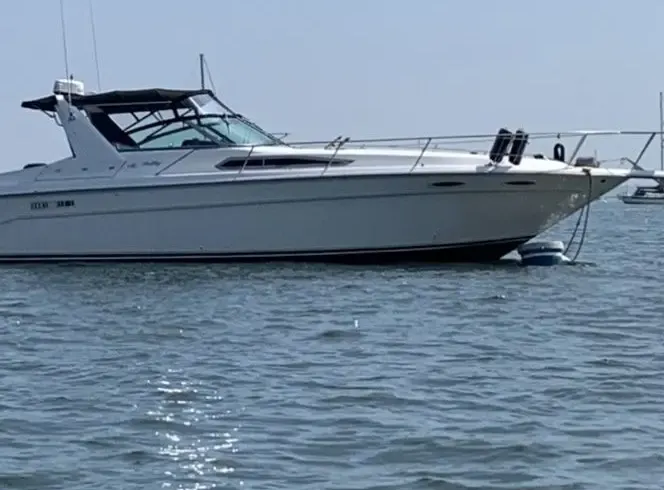 Sea Ray 39ft Yacht Charter in Deep River.  A great day on the water !