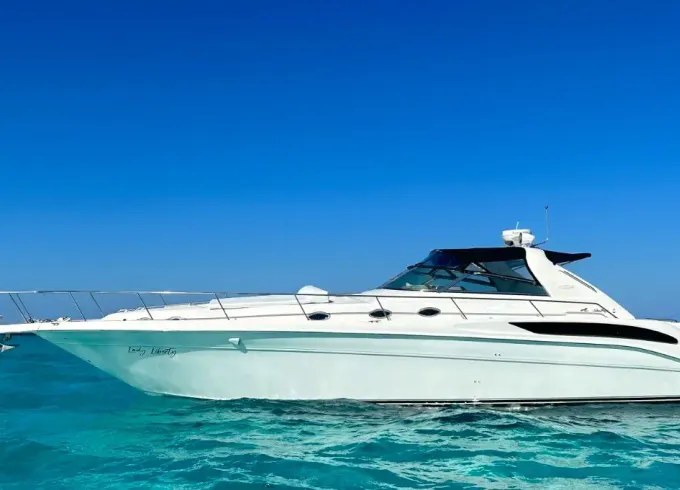 Sea Ray Sun Dancer 50ft, Snorkel & Free pick up one way Hotel marina