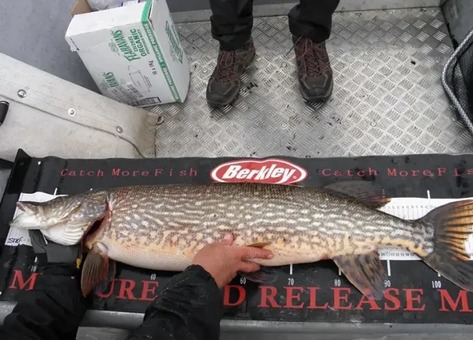 Guided Fishing Services In Sligo - DONEGAL & FERMANAGH