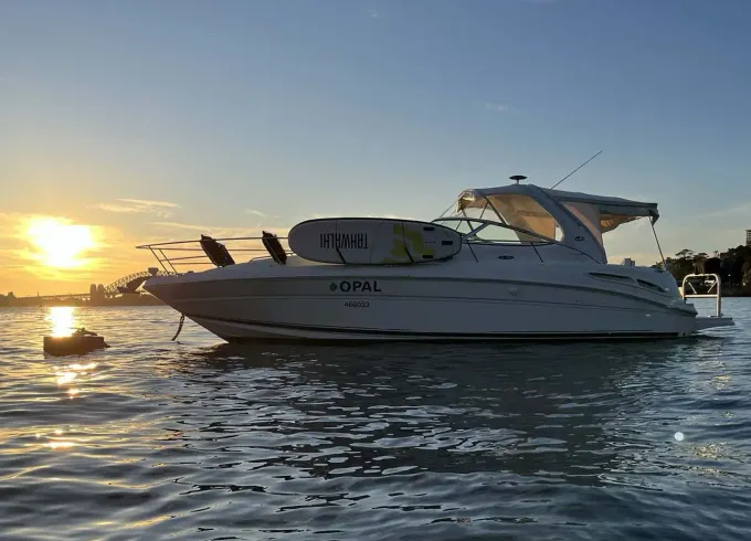 Discover Sydney Harbour  - Cruise with Sea Ray 395 Motor Yacht