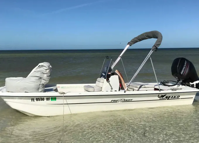 Dolphin Watching, Fishing, Cruising Adventure on the Intracoastal Waterway