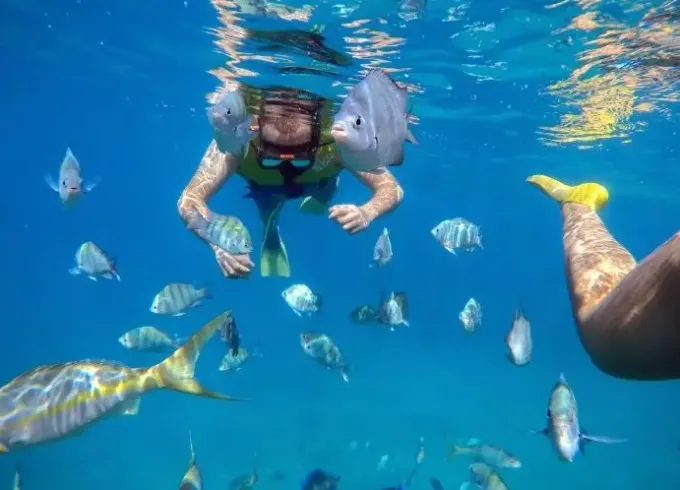 🛥️🏝️ Snorkeling Cruise Charter in Puerto Plata🛥️🏝️