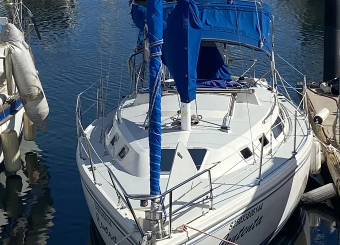 Privat Sunset Sailing in Mazatlán, Sinaloa on 30ft Catalina Sailboat