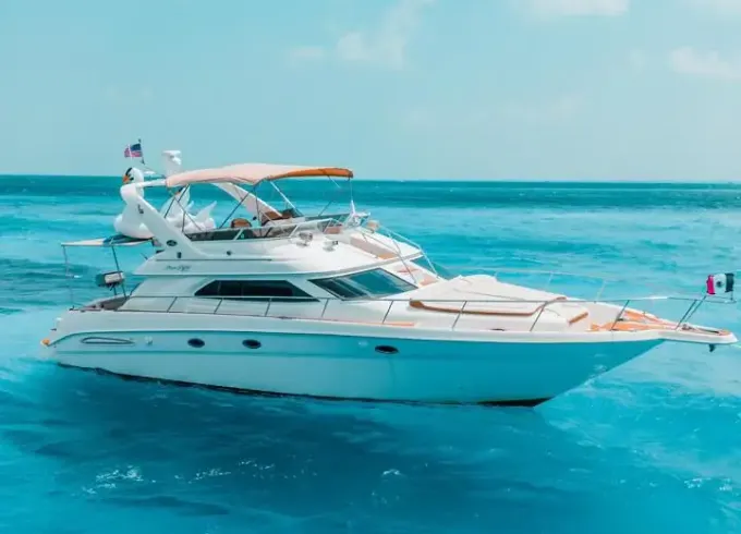 Sea Ray Sedanbridge 50' Motor Yacht | Visit Isla Mujeres from Cancun