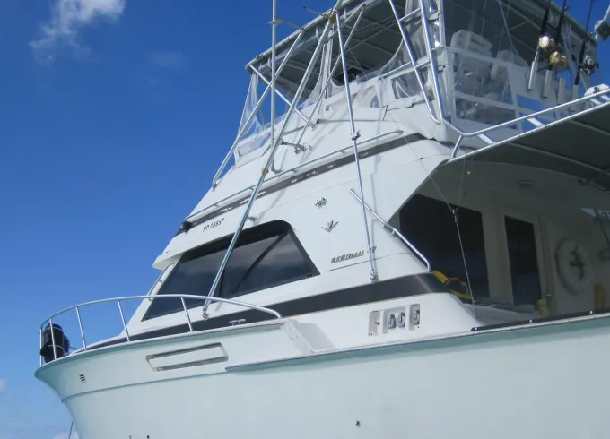 Snorkel & Turtle Adventure on our 43' Bertram in Nassau
