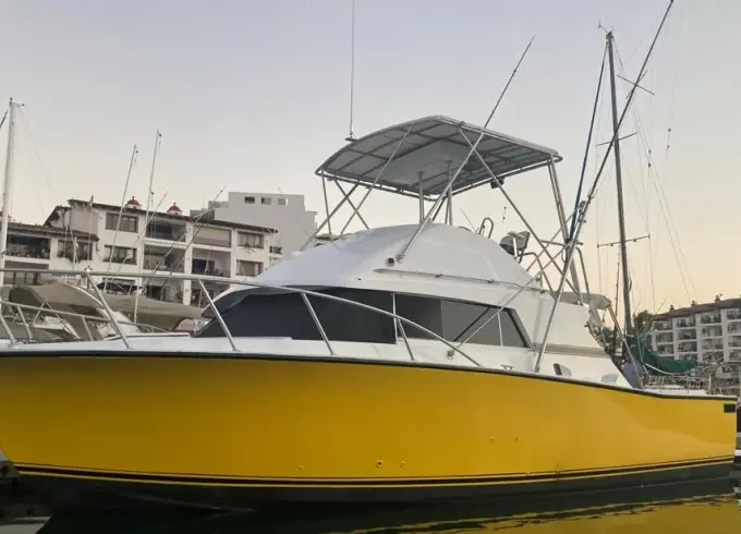 Lovely Bertram 34 SportFishing Charter in Puerto Vallarta, Jalisco