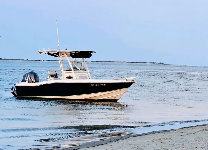 Shark Teeth & Fossil Island Adventure Boat Tour Charleston