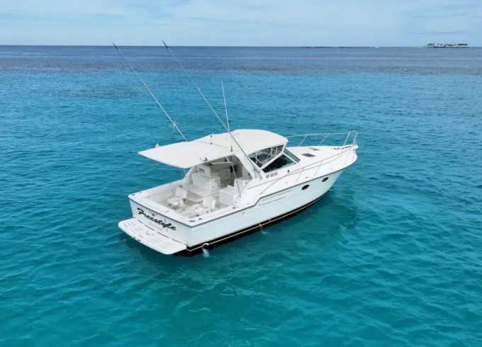 38' Tiara Motor Yacht for Fishing / Snorkel Trip In Nassau