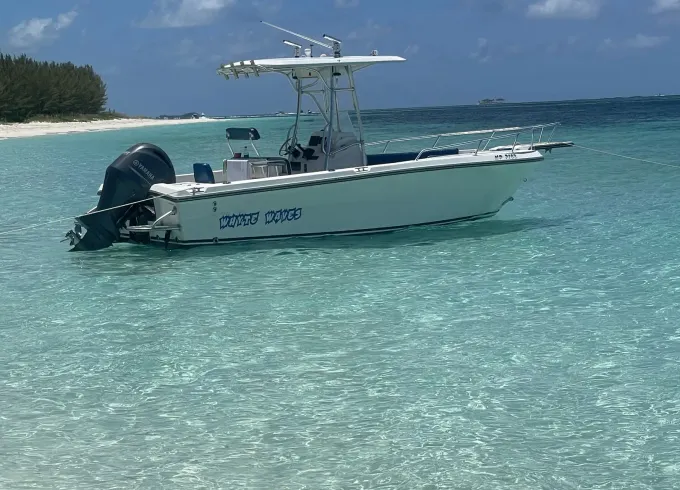 Pleasure Private Tours on Rose Island and Gilligan Island, Swimming Pigs