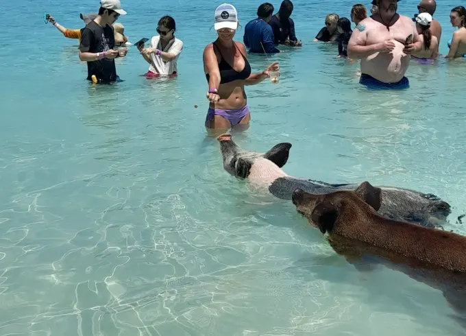 Nassau: Swimming Pigs, Snorkeling, Island Hopping, Private Boat Tour