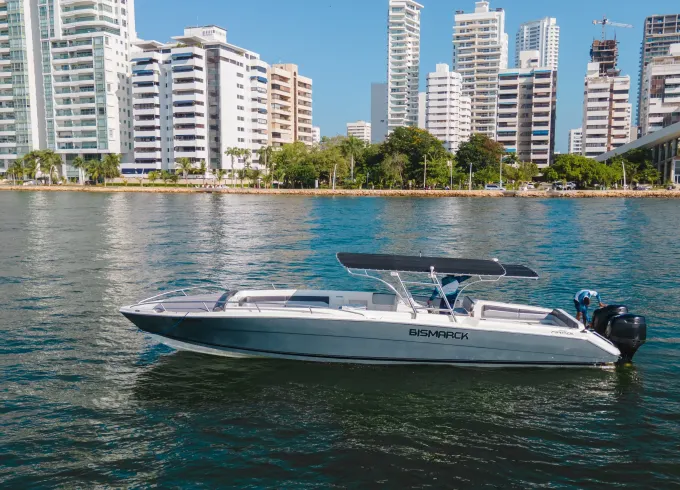 42 ft center console speed boat / Visit Rosario Islands and Baru