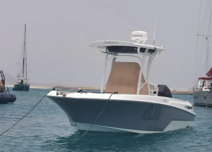 Full day deep sea fishing
