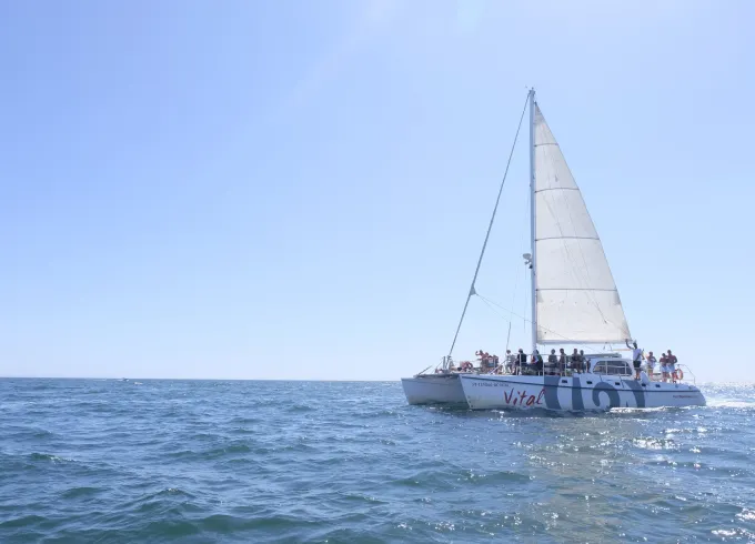 Sailing Cruise from Vilamoura - Vital