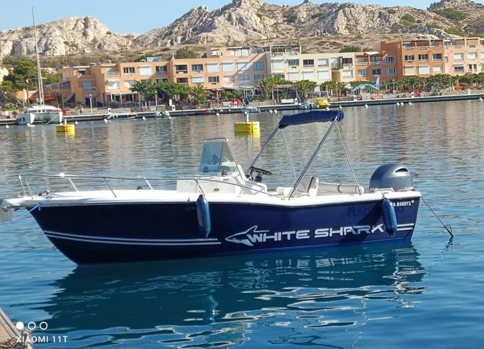 White Shark 205