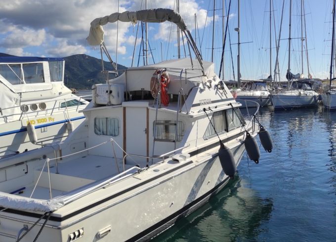 Bertram 28 fly
