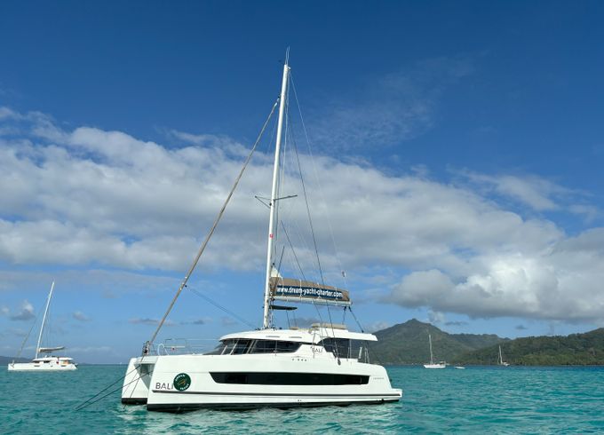 Bali Catspace Voile