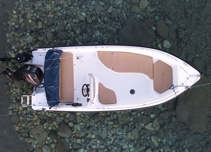 Nireus 490