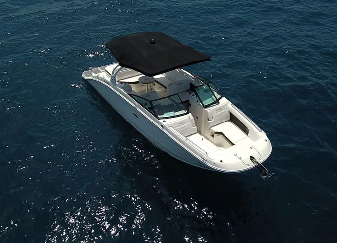Sea Ray SDX 290