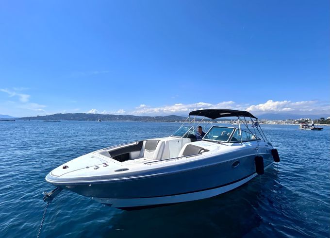Four Winns Horizon 310