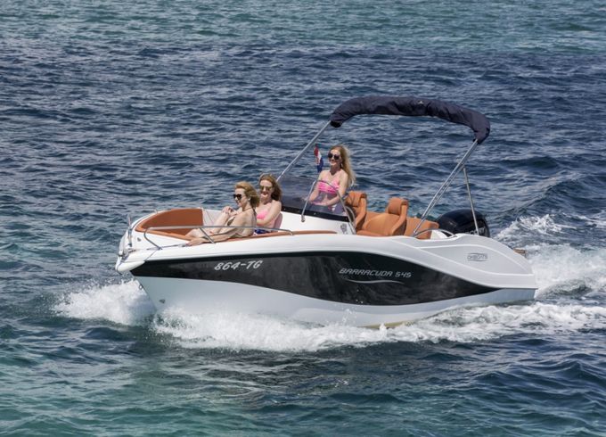 Barracuda 545