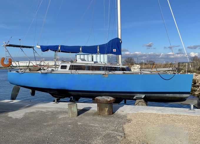 Scotto Profil 34