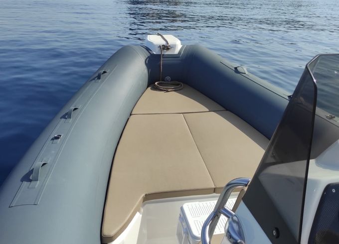 Blue rib Panama19