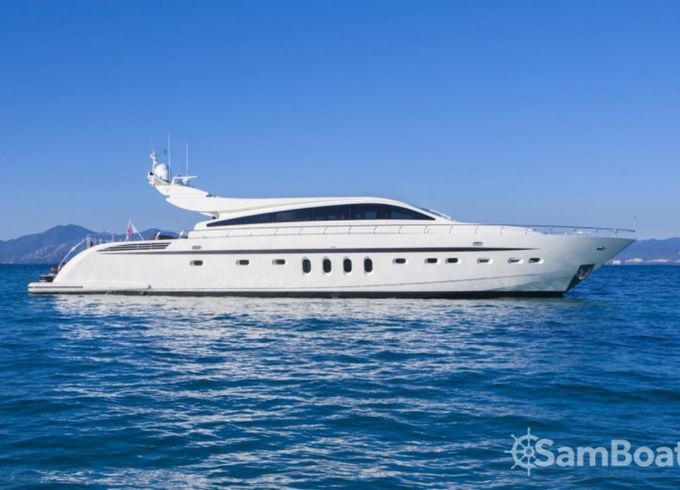 Arno Leopard Leopard 31