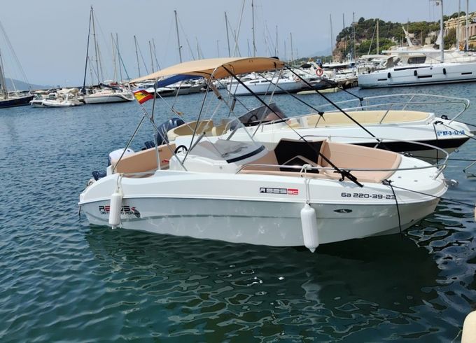 Remus 525 SC
