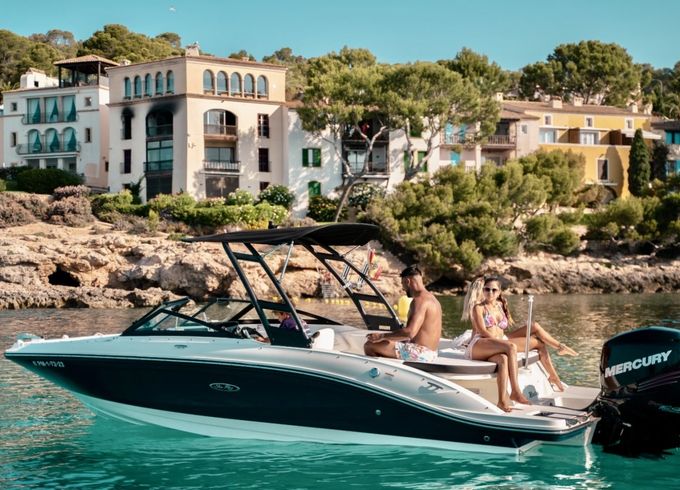 Sea Ray SPX 210 OB