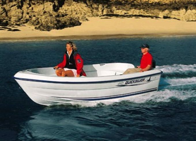 Quicksilver 410 Fish