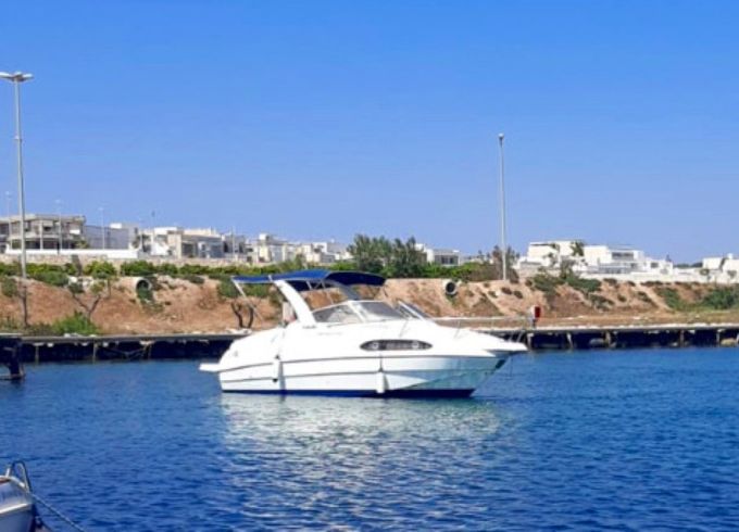 Rio 700 Cruiser