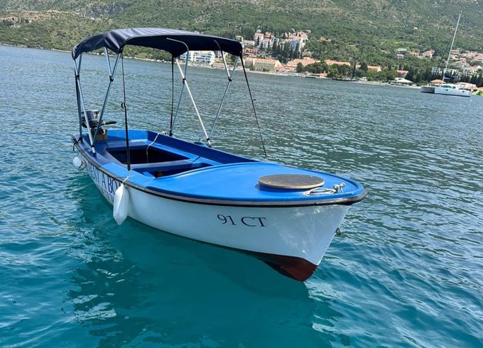 Elan Pasara 490